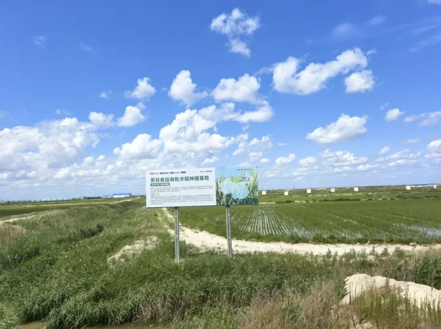 20250620165440_21589.png 24.png