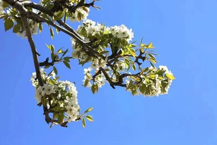 20230321160059_71386.jpg 20230321160059_71386.jpg