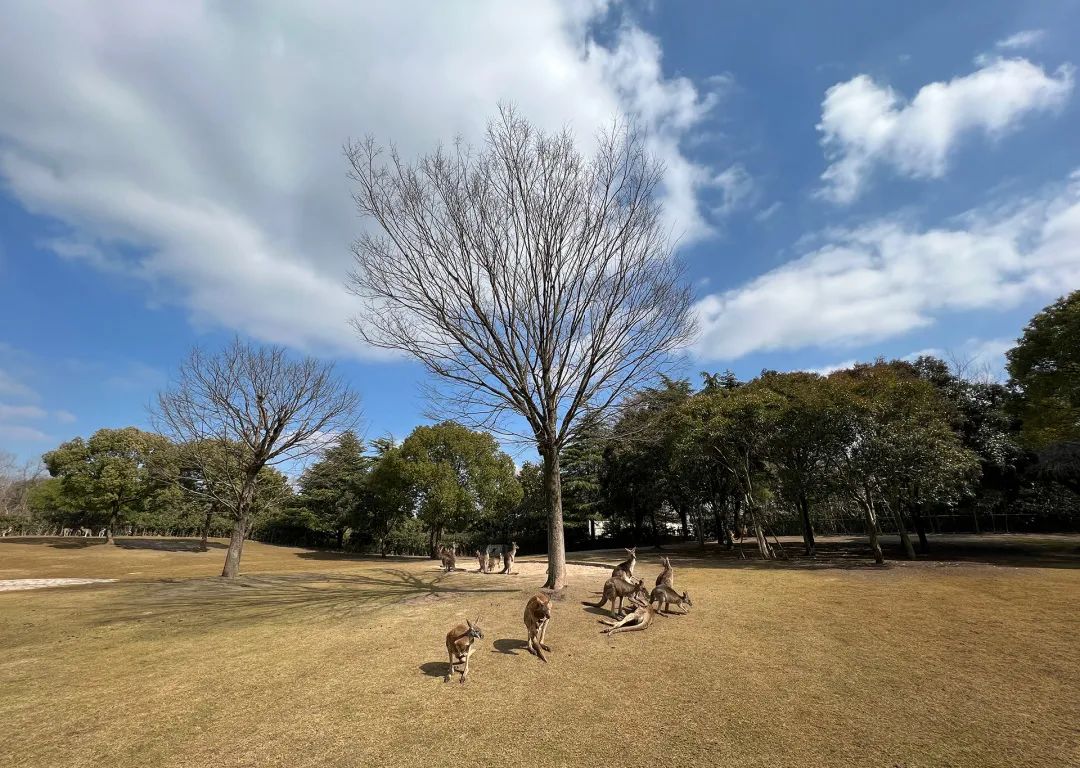 20231108163532_52033.jpg 20231108163532_52033.jpg