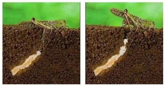 20240106152148_46634.jpg 640 (3).jpg