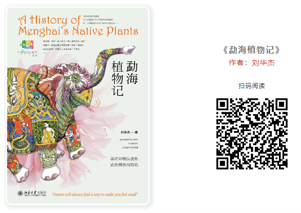 20250207105631_20932.png image.png