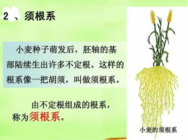 20260327161038_61507.png image.png