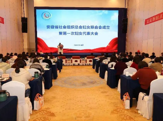 安徽省湖南商会党支部书记邓小燕参加省社会组织总会妇女联合会成立大会