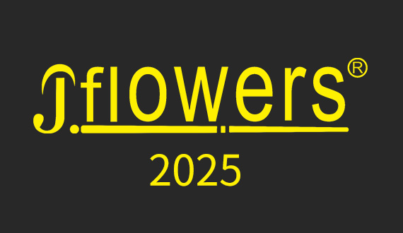 JFLOWERS 2025年度瞬间