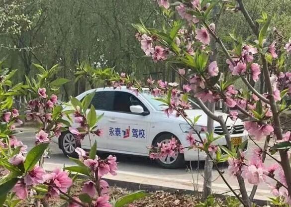 永泰驾校 学车就趁现在！