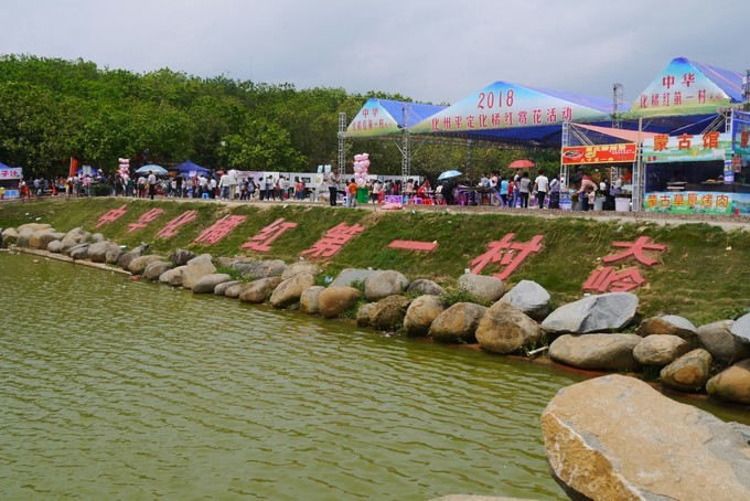 做大做强道地药材产业，全面复兴中医药传统文化