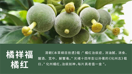 化橘红在新型冠状病毒疫情防治中的应用