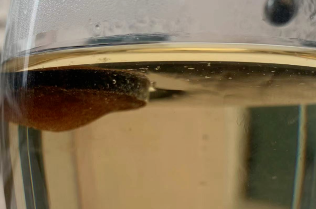 20220522093129_29773.png image.png