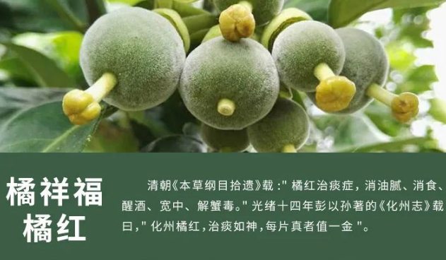 20220522094253_48490.png image.png