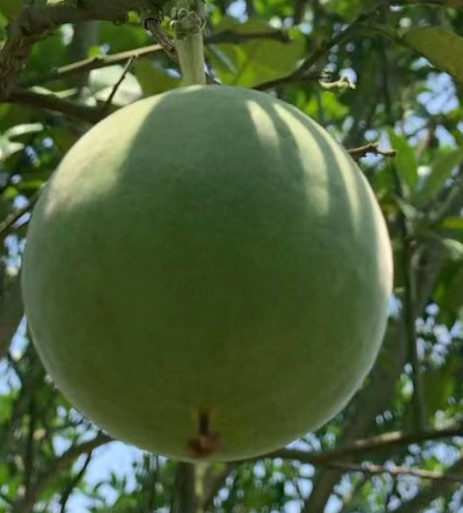 20220522111337_45828.png image.png