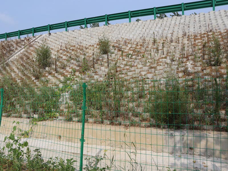 坡改平护坡砖案例