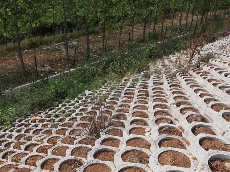 护坡砖公路铁路边坡防护案例