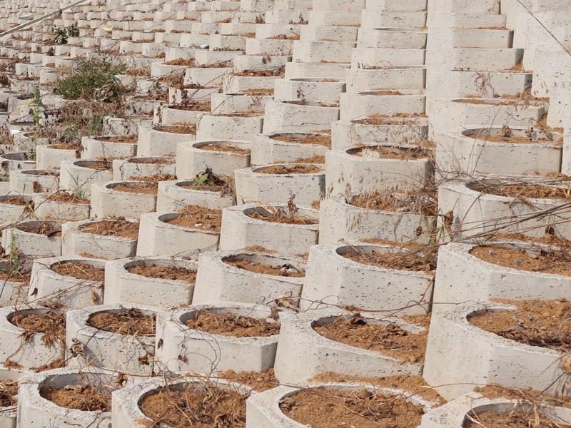 20250807170017_33972.jpg 60.jpg