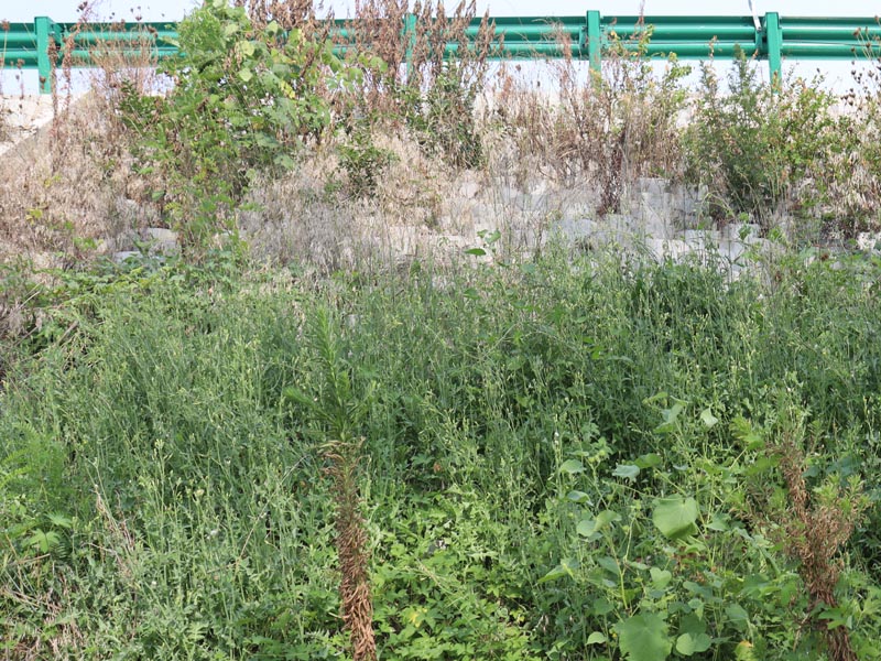 20250807170306_50020.jpg 46.jpg