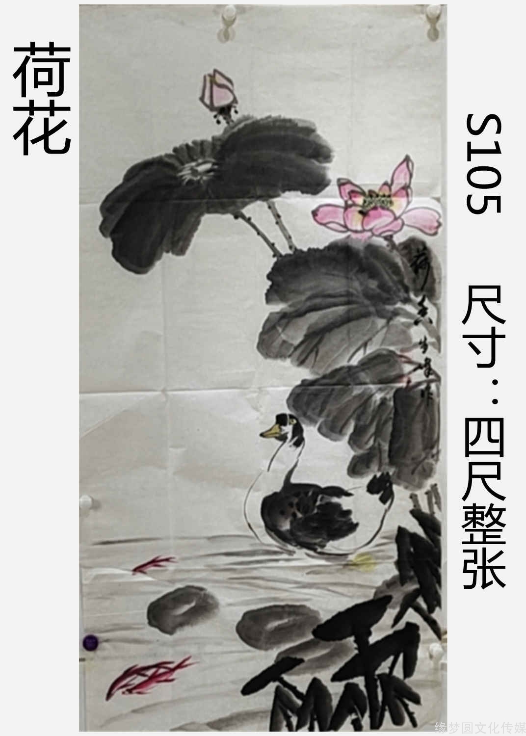 《荷花 s105-花鸟作品-国画作品-商城-缘梦圆书画超市