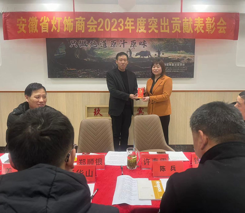 安徽省灯饰商会2023年度突出贡献表彰会暨组织集中学习活动
