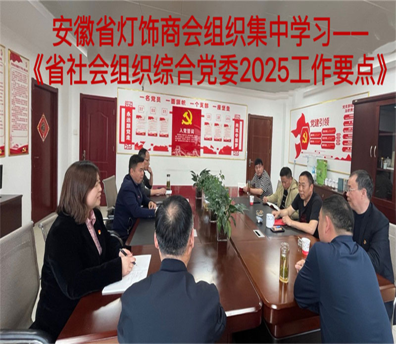 省灯饰商会党支部学习贯彻安徽省社会组织综合党委2025年工作要点 研究部署年度党建工作 凝心聚力谱写发展新篇章
