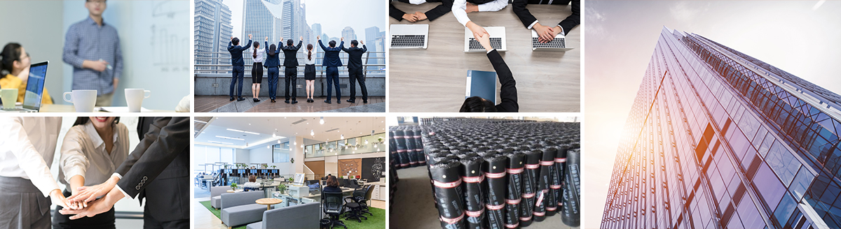 重庆聚酯纤维复合卷材,四川聚酯纤维复合卷材,重庆聚酯纤维复合卷材生产厂家,四川聚酯纤维复合卷材生产厂家