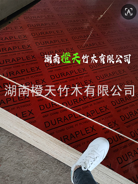 20250928104525_94005.png image.png