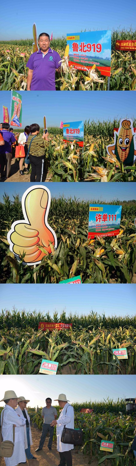 微信圖片_20220610115604.jpg