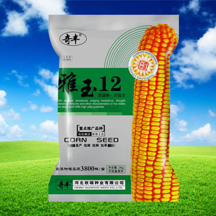 Cloud Zoom small image