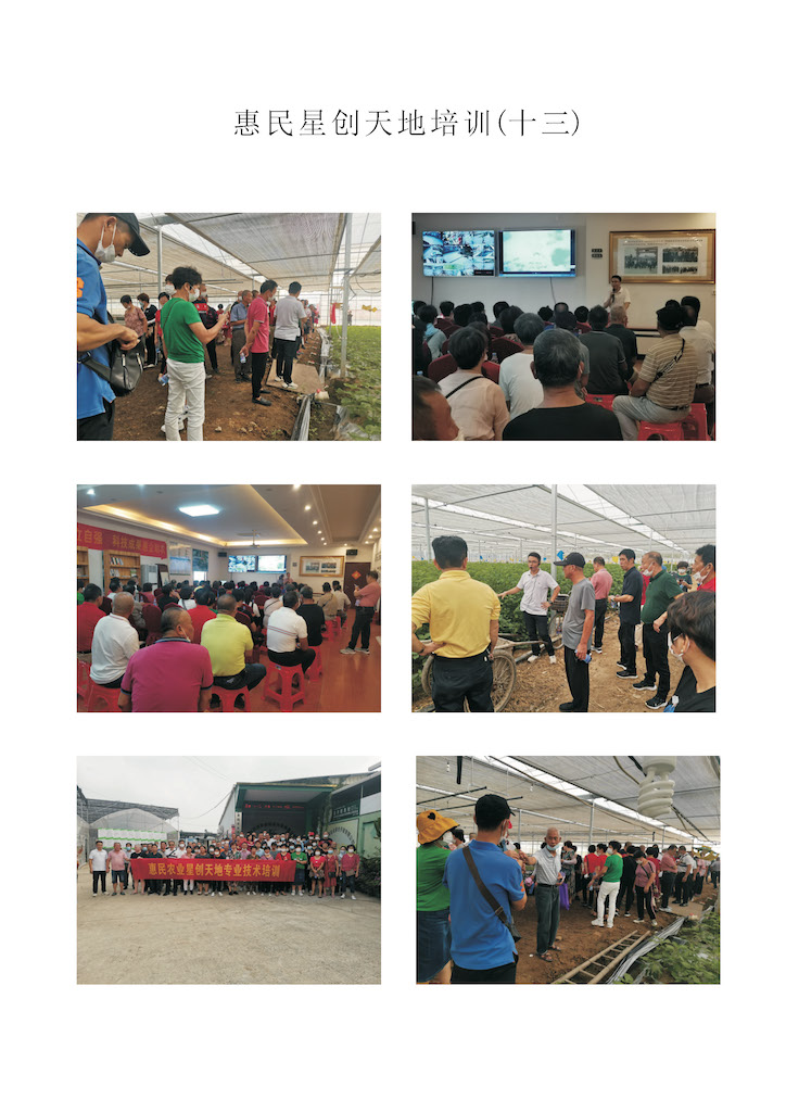 创新创业活动（十三）