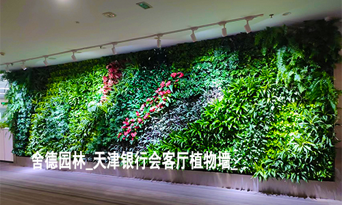 舍德园林_天津银行会客厅生态植物墙展厅