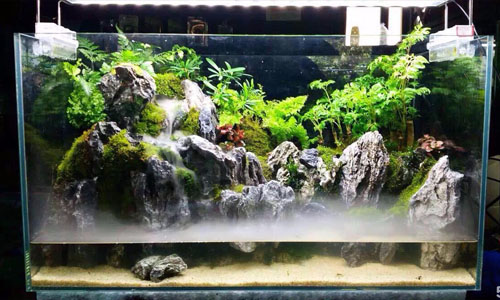 包头市喷泉瀑布景观苔藓草缸天津热带雨林缸雨林景观雨林造景