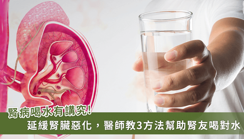 每日喝八大杯水不夠精準！腎友3方法「喝對水」推遲腎臟惡化