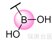 硼中子俘获疗法的独特作用