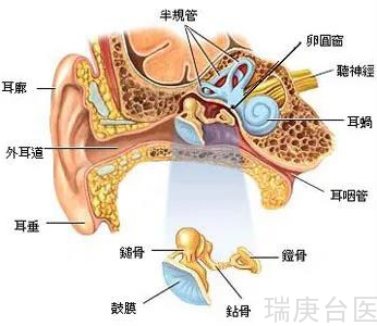 【台湾长庚医院】轻忽中耳炎导致耳膜破洞听力下降 手术治疗救回听力