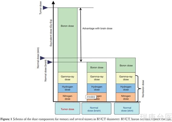 BNCT | 硼中子俘获治疗计划及患者定位