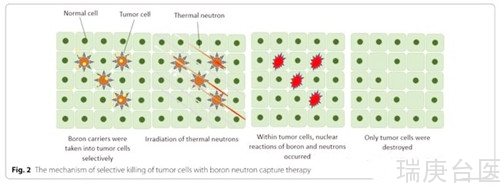 BNCT | 硼中子俘获疗法对所有癌症吗？能治愈吗？