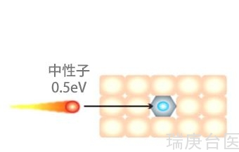 BNCT | 高级别脑膜瘤临床数据