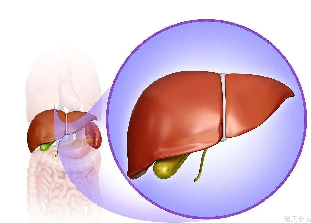 台湾长庚医院 | 治肝癌不损及肝脏 研究找到解方