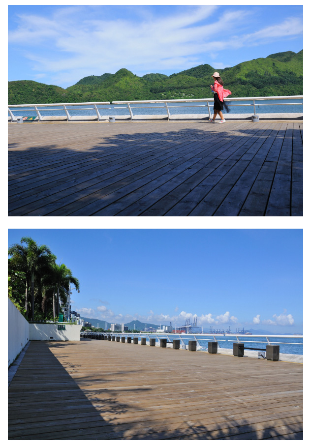 去深圳最美的海濱棧道