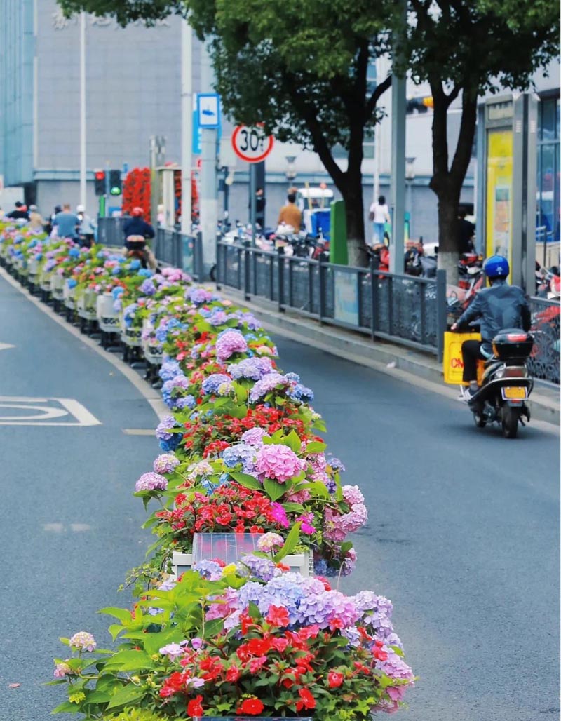 戶外花箱