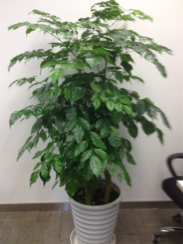 Cloud Zoom small image