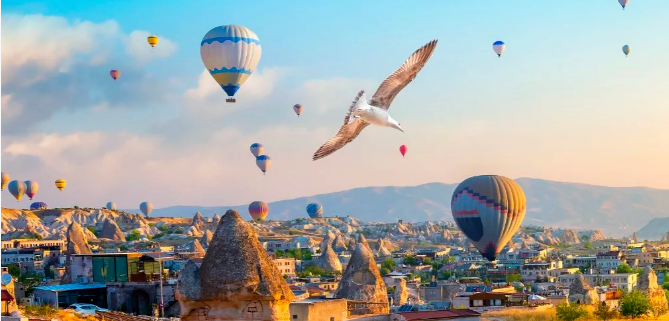 20250914155420_21362.png image.png