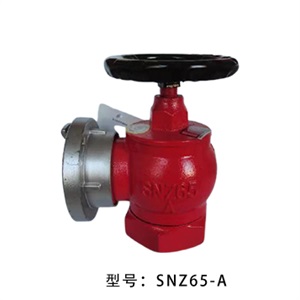 室内消火栓SNZ65