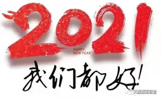 芜湖湖南商会元旦贺词