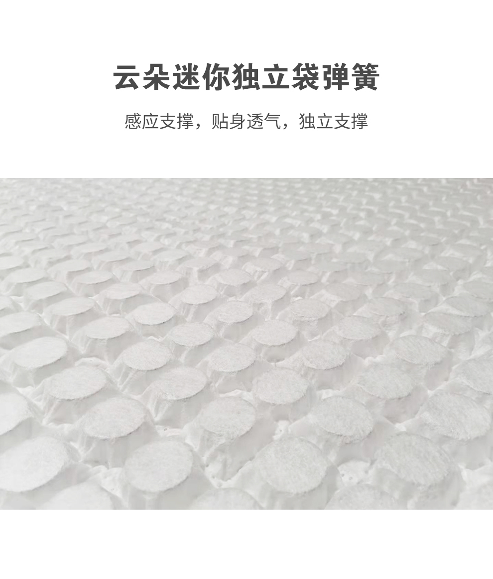 S5一品棕师_06.jpg