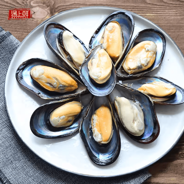 舟山淡菜嵊泗枸杞贻贝产地新鲜发货非特大海虹野生青口贝海鲜水产