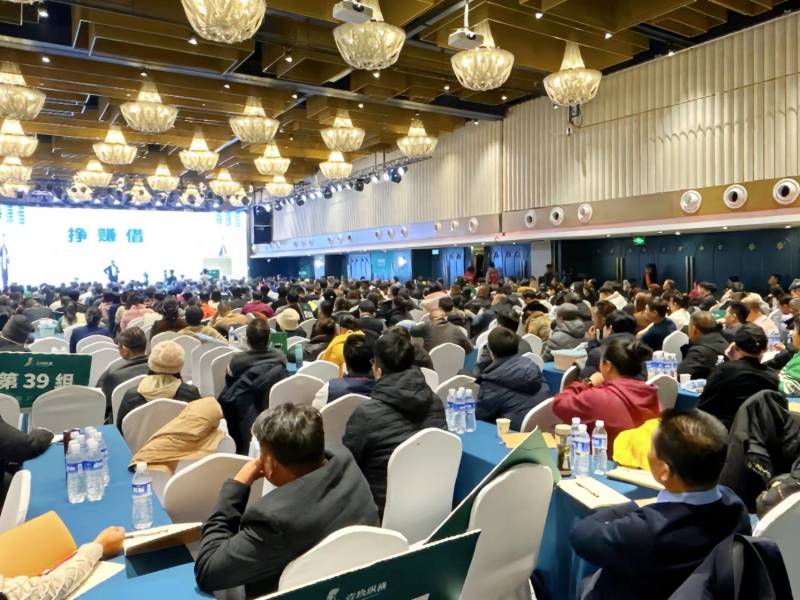 如何为新企业创建商业模式？