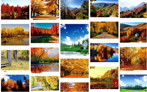 太美了！关不住的秋色！500 家康养地带你解锁绝美旅游城市