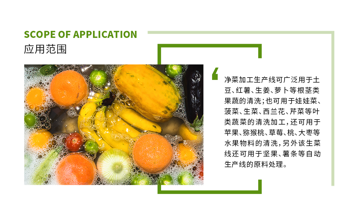 國內首頁（清洗線）_02.jpg