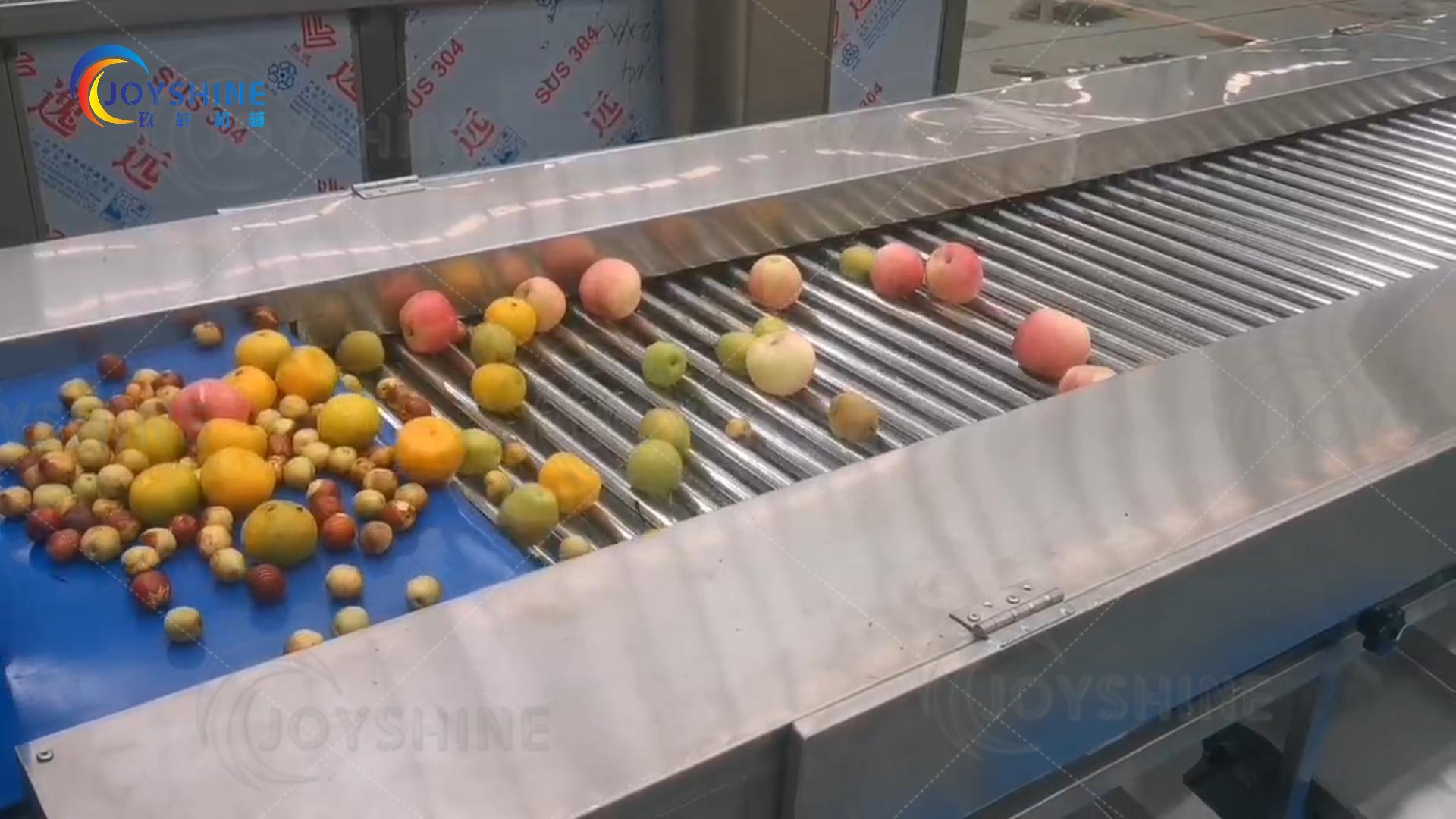 果蔬分選機(jī)